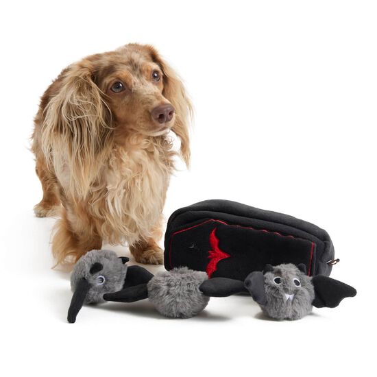 Ensemble de jouet cercueil avec chauves-souris pour chiens Image NaN
