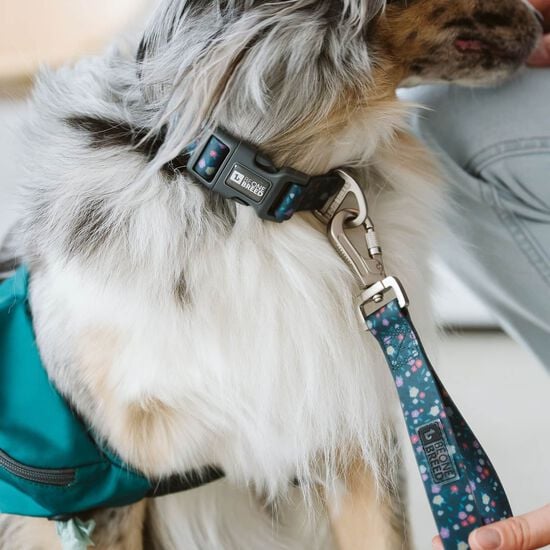 Laisse en silicone pour chiens, Floral estival Image NaN