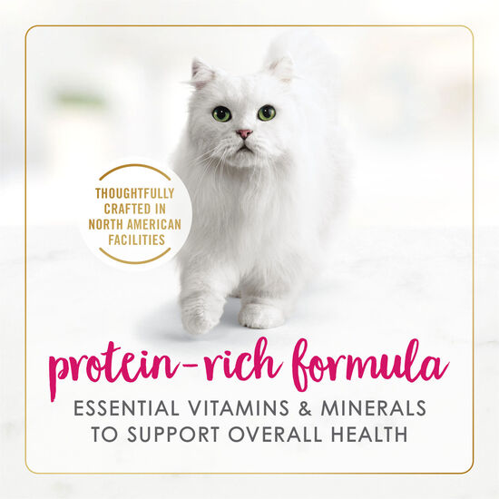 Chicken wet food for adult cats Image NaN