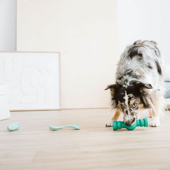 Jouet dentaire distributeur de g&acirc;teries pour chiens Image NaN