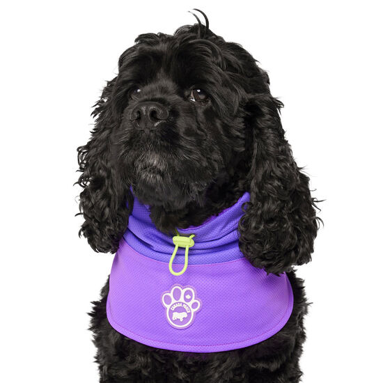 Écharpe tube de refroidissement Max Chill pour chiens Image NaN