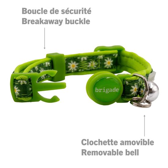 Collier en neoprene pour chats, Margerites Image NaN