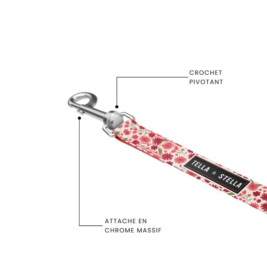 Dog Leash Image NaN