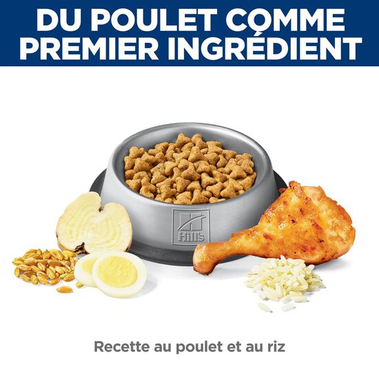 Nourriture sèche « Urinary & Hairball Control » au poulet pour chats adultes, 3,18 kg Image NaN