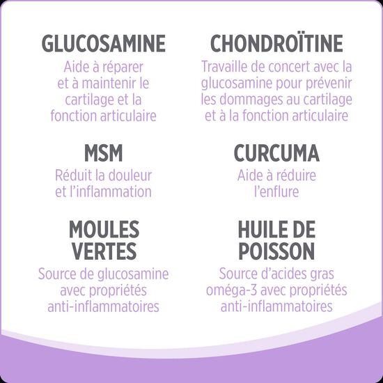 Suppl&eacute;ment hanches et articulations pour chiens,  400 g Image NaN