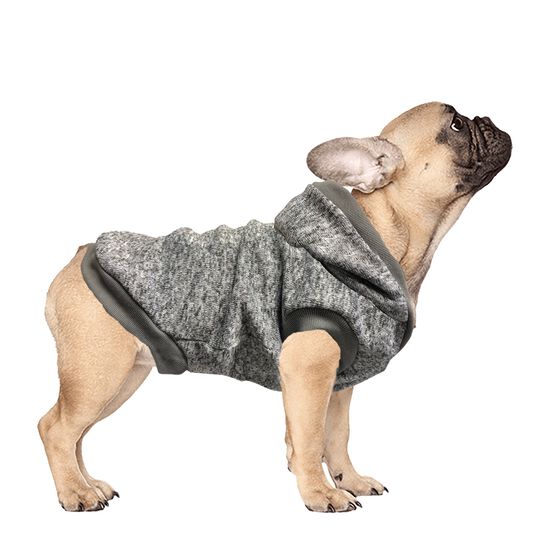 Gigi dog hoodie Image NaN