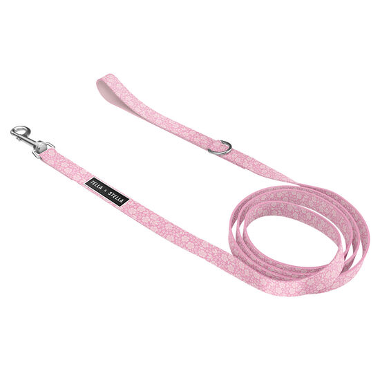 Dog Leash Image NaN