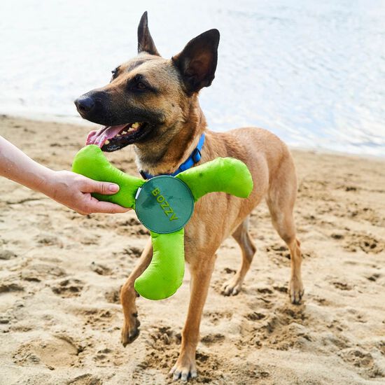 Jouet boomerang r&eacute;sistant pour chiens Image NaN
