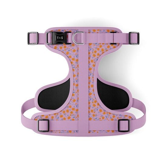 Adjustable Dog Harness Image NaN