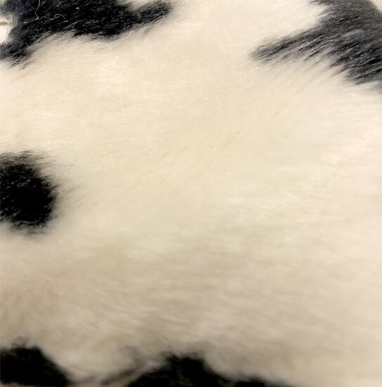 Arbre à chat Aspen de style hamac avec poteau à gratter Image NaN