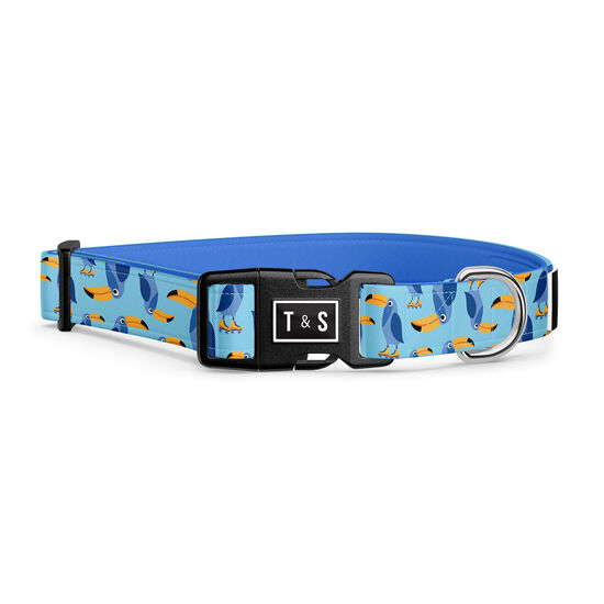 Toco the Toucan Adjustable Dog Collar Image NaN