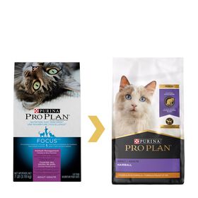 Adult hairball management chicken & rice dry cat food