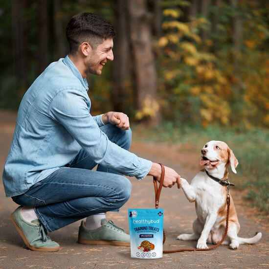 Mini Training Salmon Treats for Dogs Image NaN