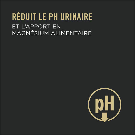 Urinary Tract Health Adult Cat Food Variety Pack 12 x 85 g Image NaN