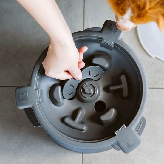 Bol interactif Intellidog Image NaN