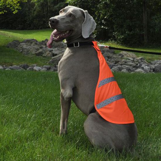 Veste de sécurité réfléchissante pour chiens Image NaN