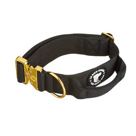 Collier tactique pour chiens