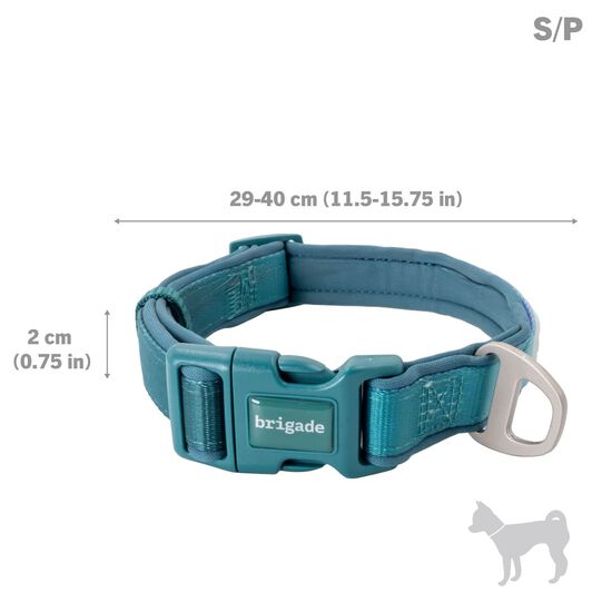 Neoprene Collar for Dogs, Green Gradient Image 3.0