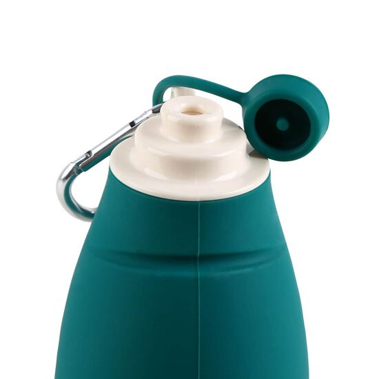 Leaf Travel Water Bottle Image NaN