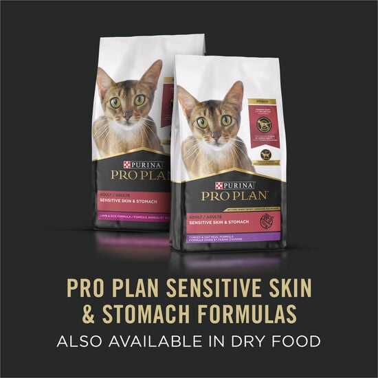 Specialized Sensitive Skin & Stomach Artic Char Entrée for Cats, 85 g Image NaN