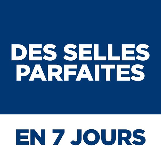 Perfect Digestion Small & Mini Chicken & Brown Rice Dry Food for Adult Dogs, 5.44 kg Image NaN