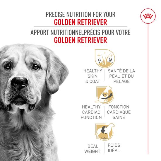 Nourriture s&egrave;che pour chiens adultes de race Golden Retriever Image NaN