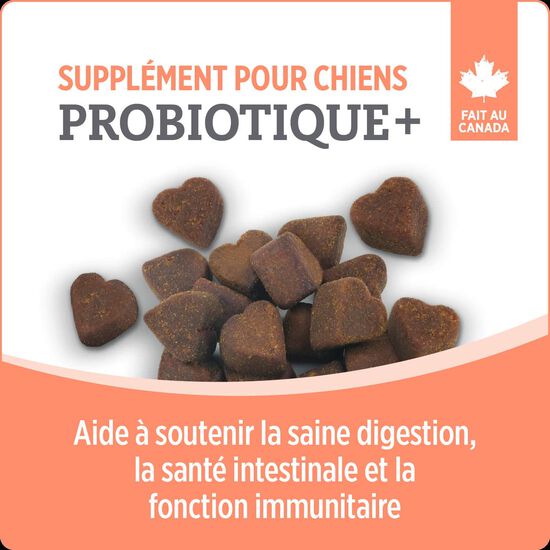 Suppl&eacute;ment probiotique + pour chiens,  400 g Image NaN