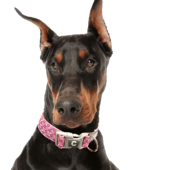 Collier ajustable pour chiens, fleurs Image NaN