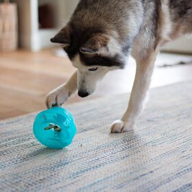 Stuff 'n Wobble Treat Dispensing Ball for Dogs