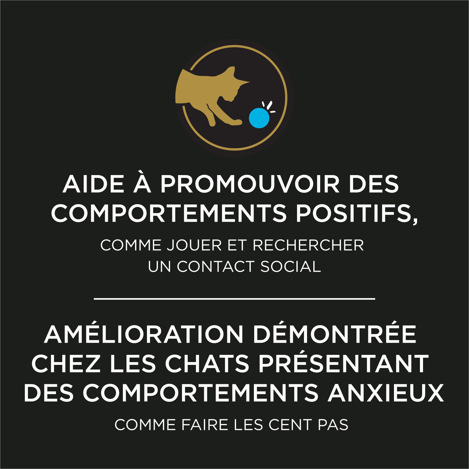 Calming Care Powdered Feline Calming Probiotic Supplement, 30 g Pro Plan Mondou