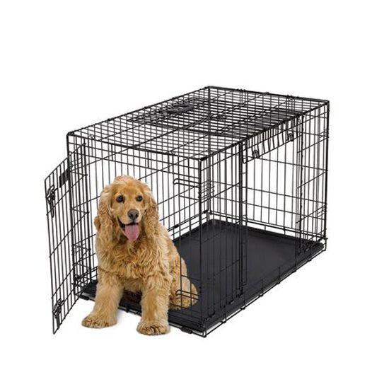 Cage à deux portes pour chiens Image NaN