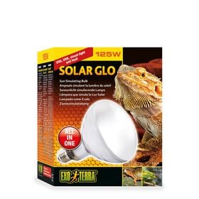 Solar Glo 125 W