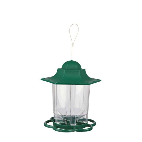 Green feeding lantern Image NaN