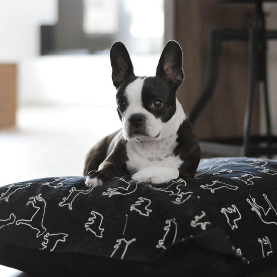 Cloud Pillow Cover, Black Image NaN