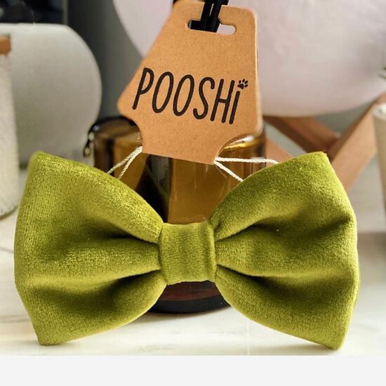 Bow Tie for Cats and Dogs Image NaN