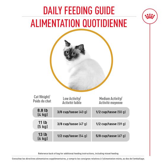 Nourriture sèche formule soin pelage et peau pour chats adultes Image NaN