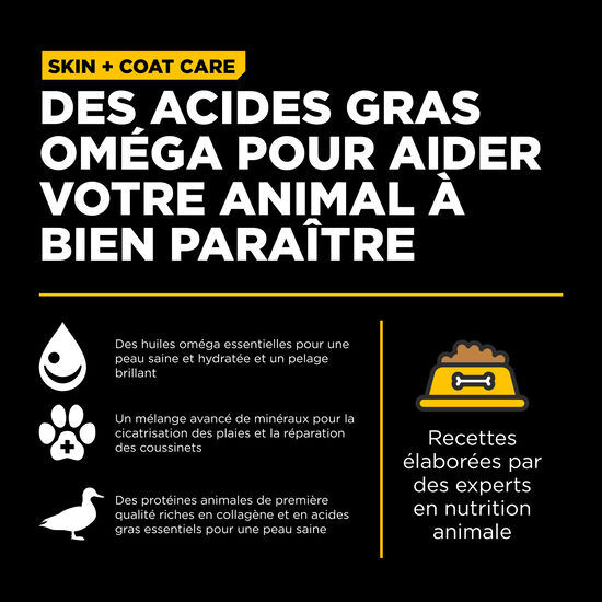 Recette « Skin + Coat Care » au canard avec grains pour chiens, 9,98 kg Image NaN