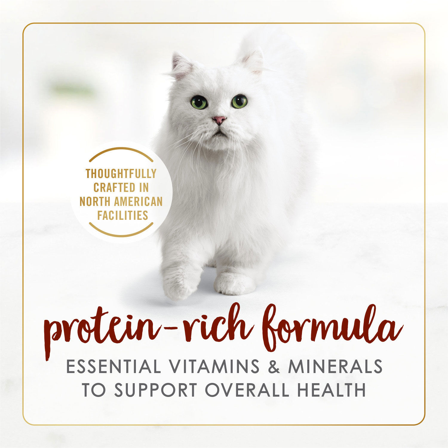 Almo Nature Bio Organic Maintenance Adult Dog Telecí A Zelenina 300 G