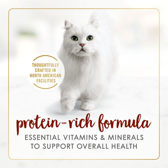 Beef wet food for adult cats Image NaN