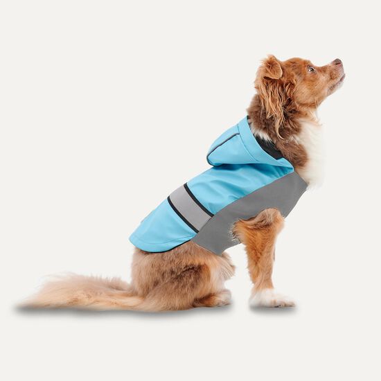 All-season Rain Coat for Dogs Image NaN