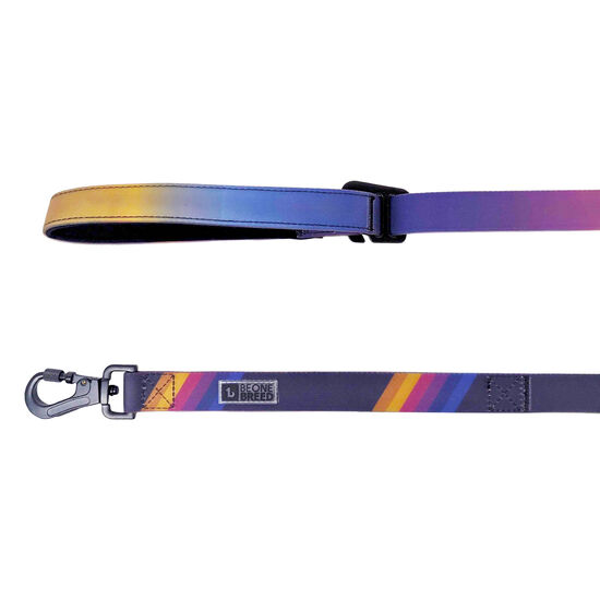 Laisse multifonction en silicone pour chien Image NaN