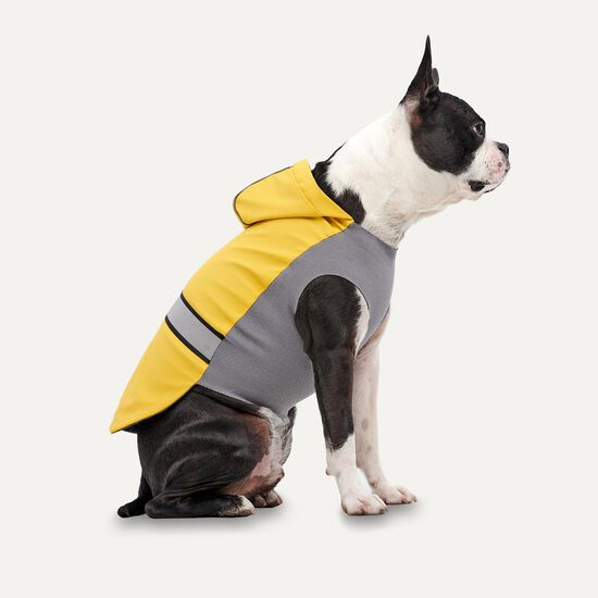 Manteau de pluie toutes saisons pour chiens Image NaN