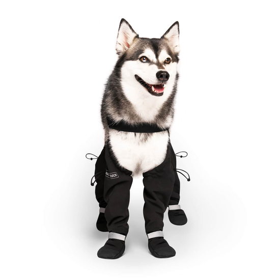 Bottes &agrave; bretelles pour chiens Image NaN