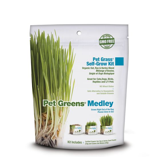 Self-grow organic grass medley for pets Image NaN