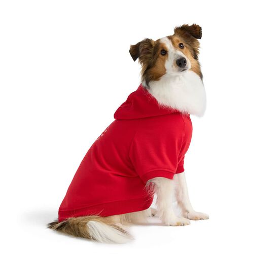 Sweatshirt l&eacute;ger &agrave; capuchon pour chiens Image NaN