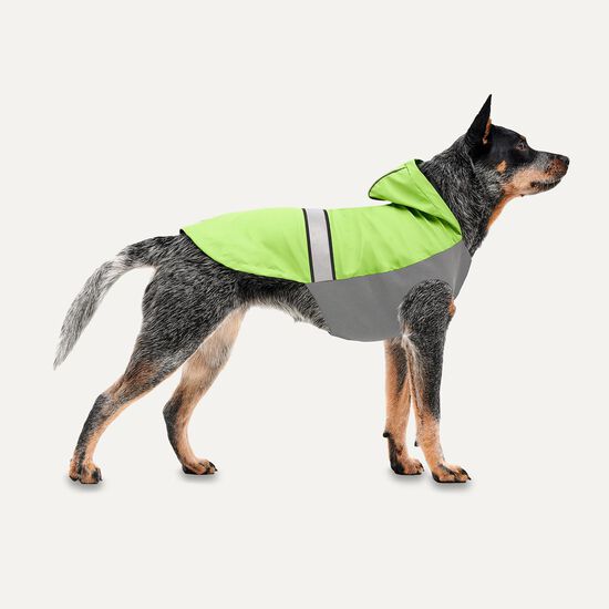 Manteau de pluie toutes saisons pour chiens Image NaN