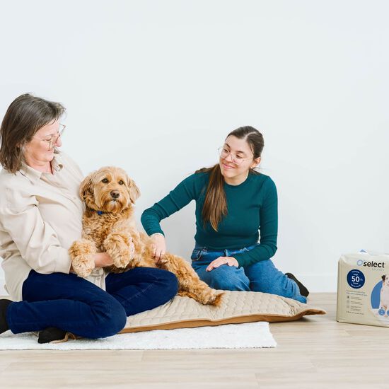 Tapis de propret&eacute; pour chiens adultes et ag&eacute;s, 50 un Image NaN