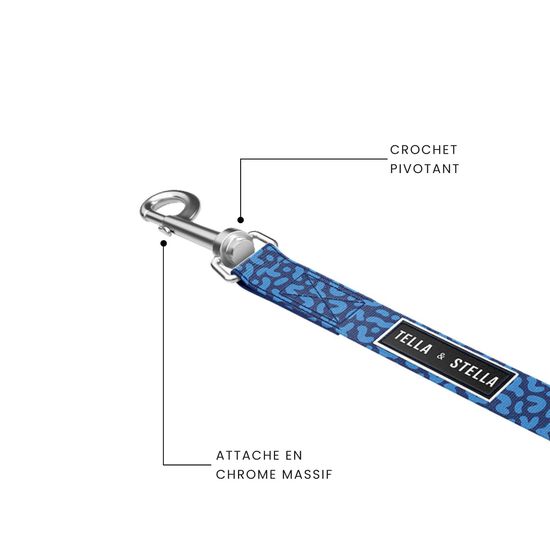 Dog Leash Image NaN
