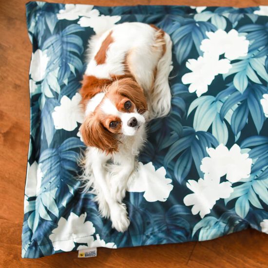 Cloud Pillow Cover, Peonies Image NaN