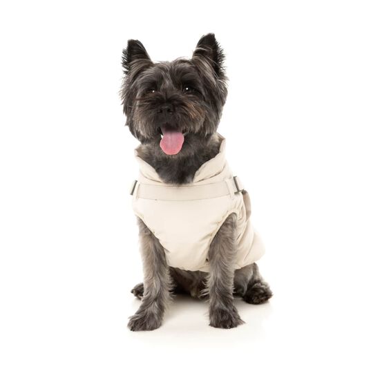Horizon Jacket for Dogs Image NaN